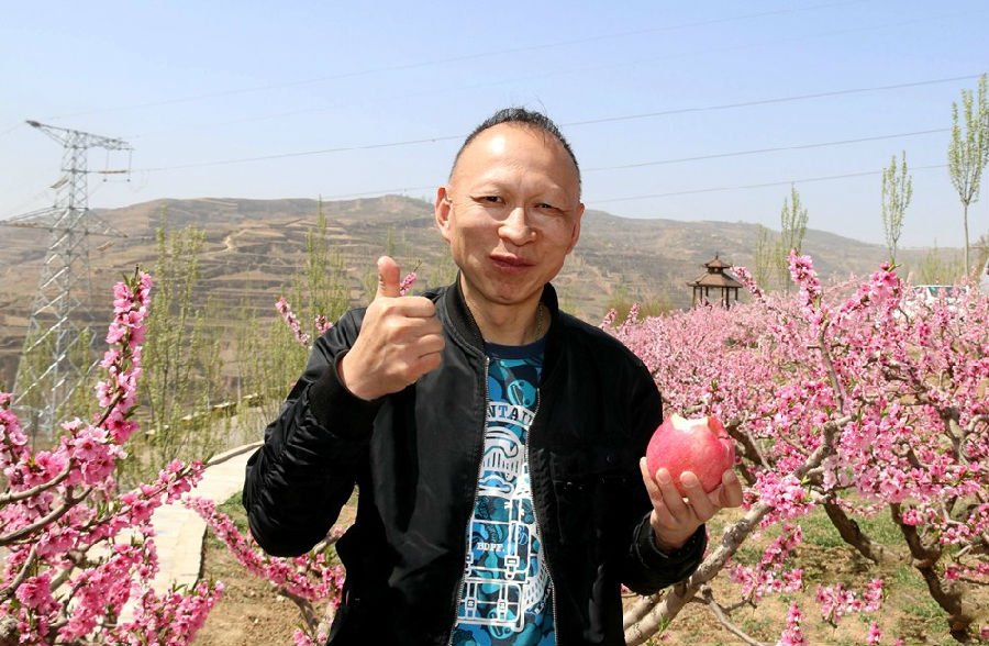 一言出驷马难追的意思_一言既出驷马难追_一言出驷马难追打一生肖