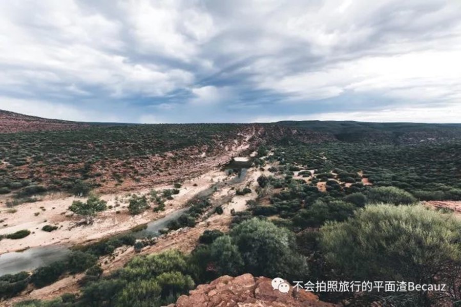 专业的心理测试题_心理题测试专业怎么写_专业心理测试题