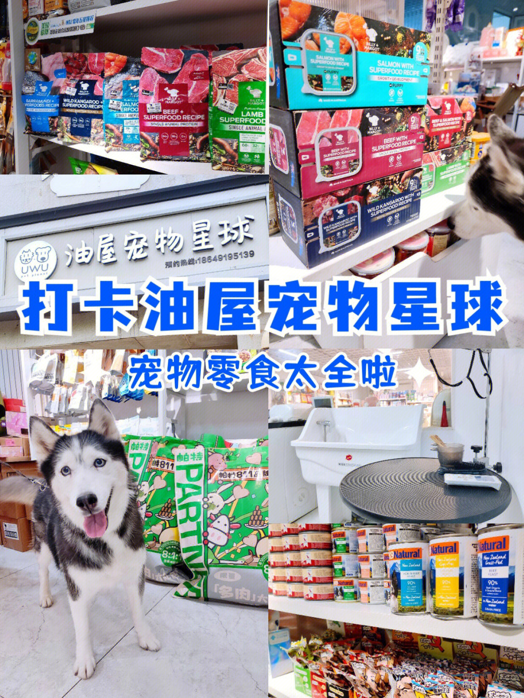 天津宠物店_天津空运宠物_天津宠物网