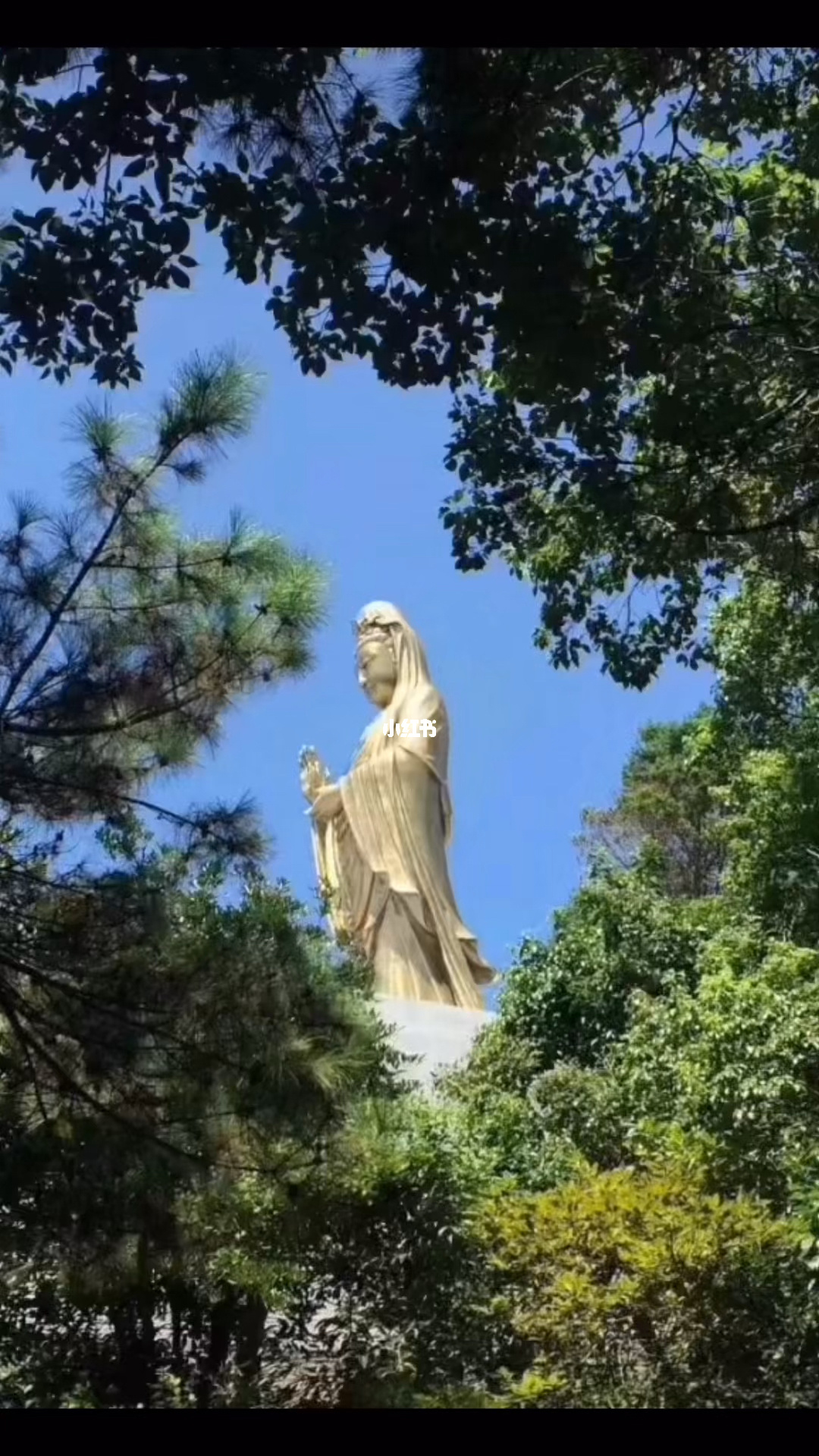 厦门梦幻世界：观音山之旅