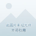 中信QQ游戏联名信用卡火热上线