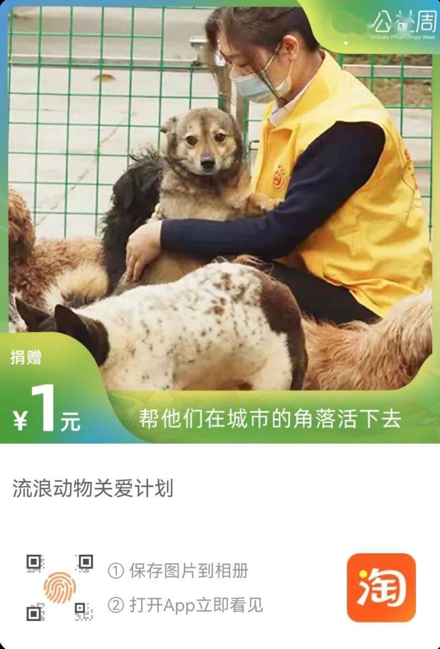 中国志愿者保护藏羚羊协会_重庆小动物保护协会骗钱_保护小动物协会