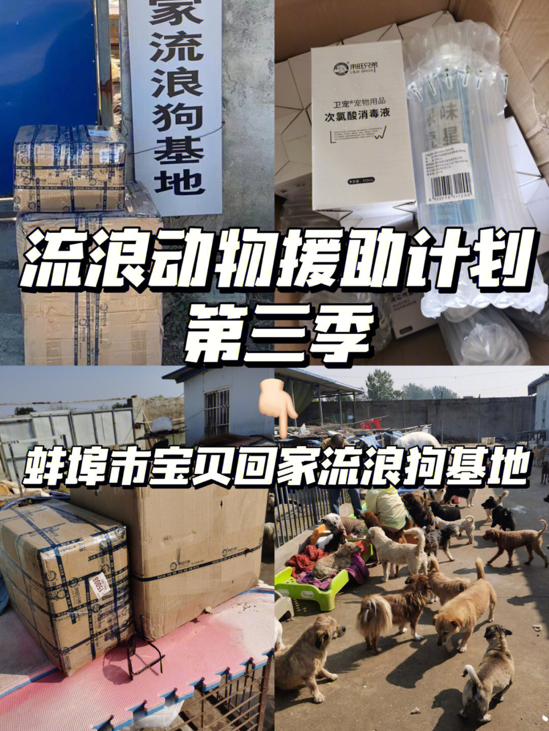 中国志愿者保护藏羚羊协会_重庆小动物保护协会骗钱_保护小动物协会