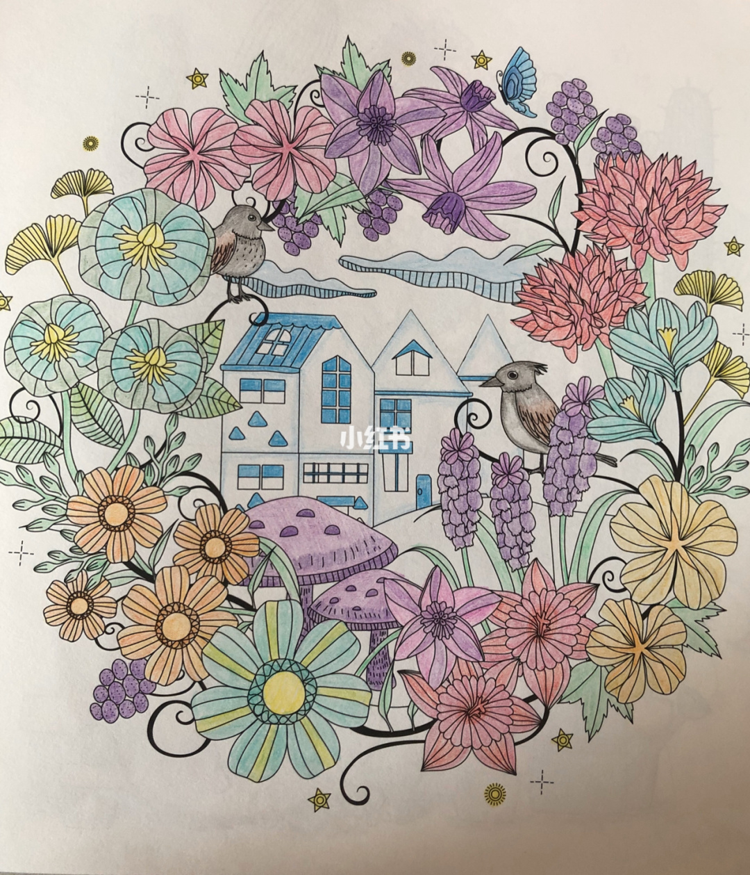 秘密花园涂色游戏自动扣费_秘密的花园涂色游戏_花园秘密涂色游戏怎么玩