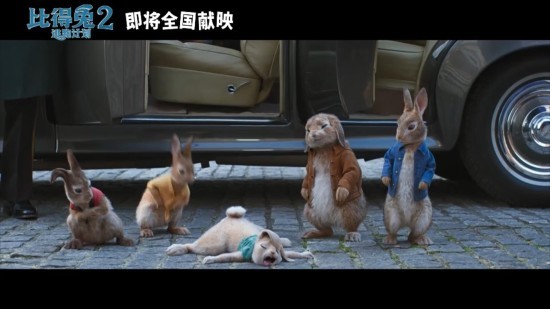 兔子游戏在线_兔子游戏百度云_兔子游戏电影迅雷