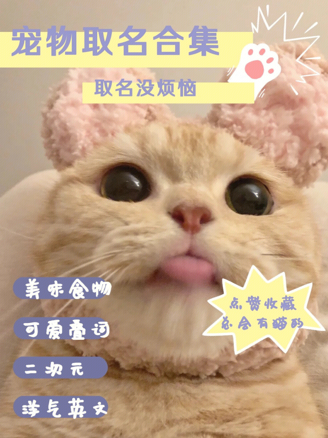 游戏宠物宝宝好听的名字_好听的宠物宝宝名字_宠物宝宝的名字
