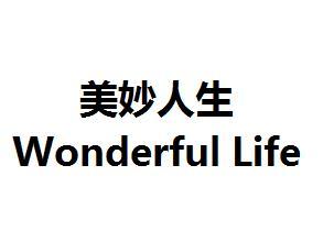 游戏人生有声小说_游戏人生有声轻小说_播放人生游戏