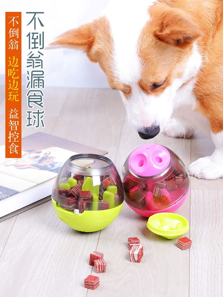 养只宠物球_养个宠物球_养只宠物球全过程视频