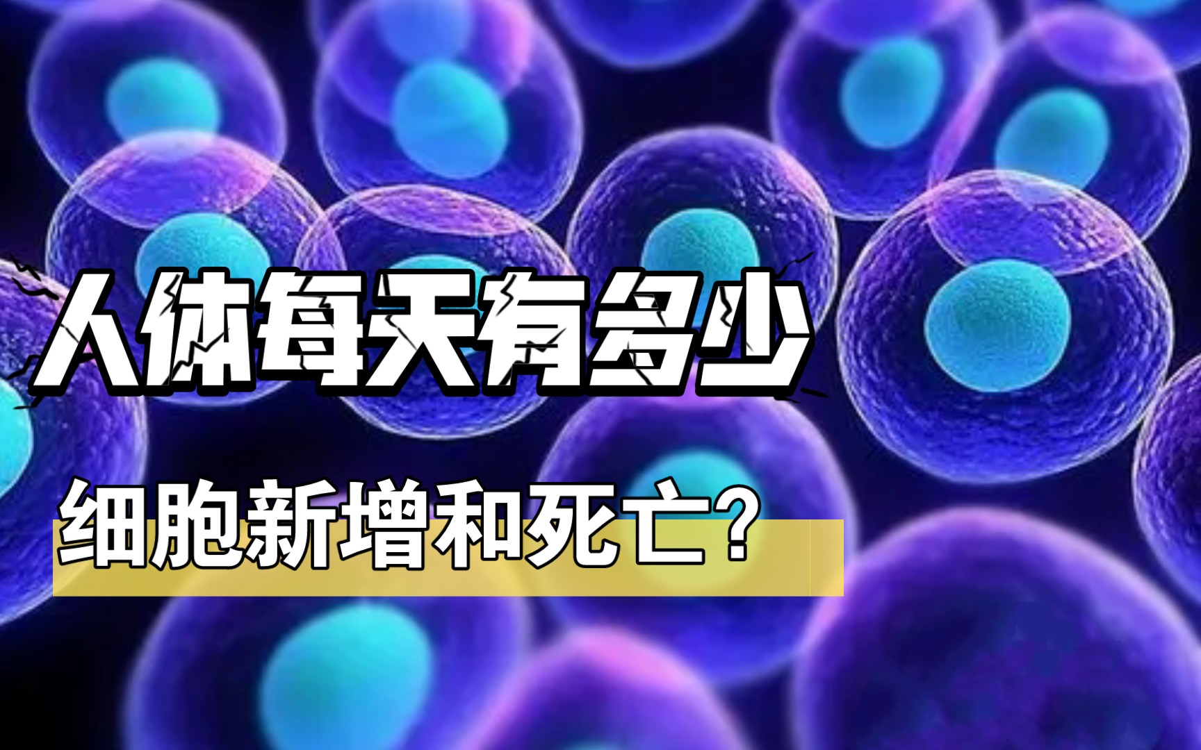 ce修改器死亡细胞_死亡细胞修改器_死亡细胞修改器会封号吗