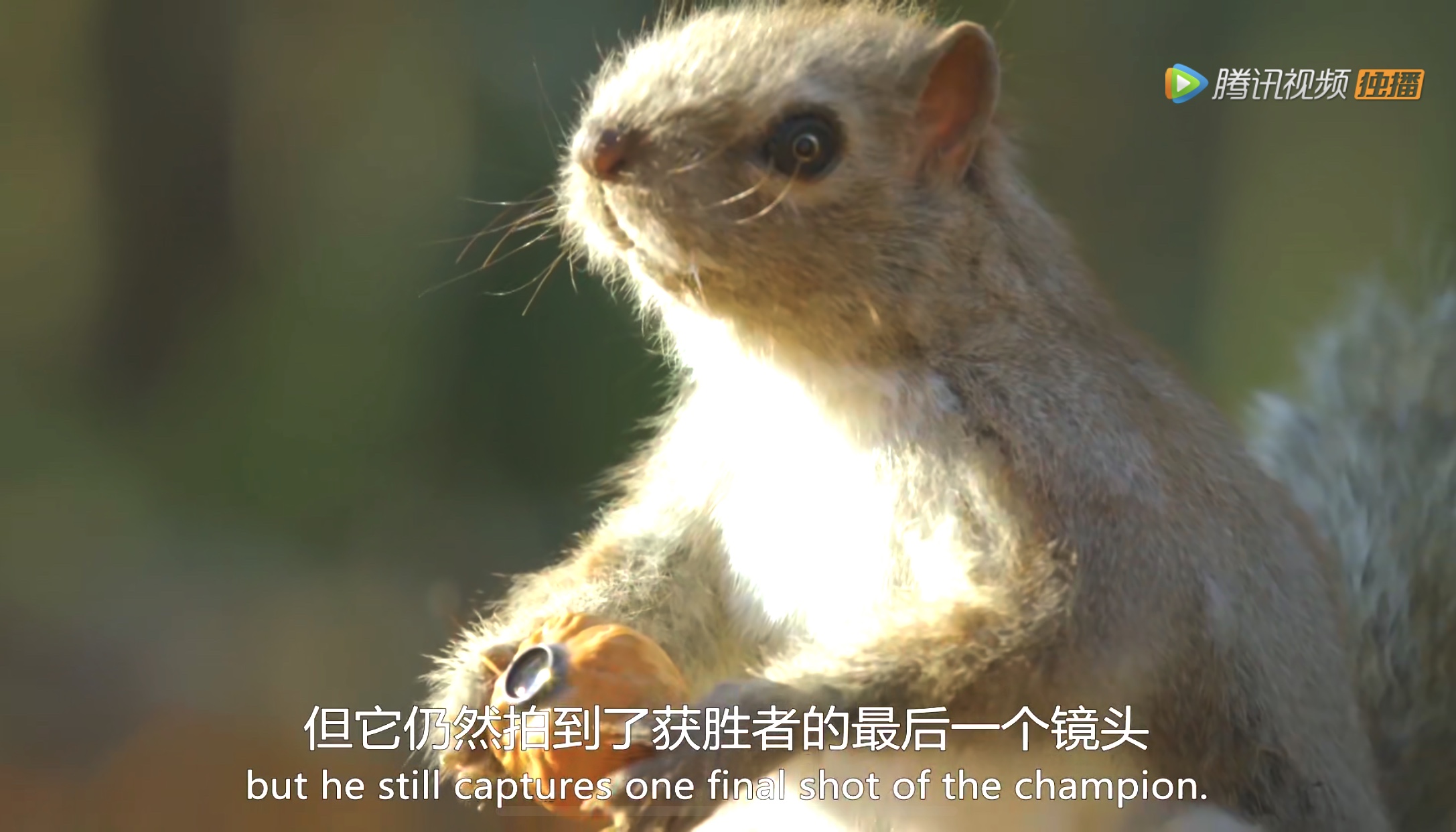 荒野的召唤_召唤荒野奇美拉_召唤荒野小说