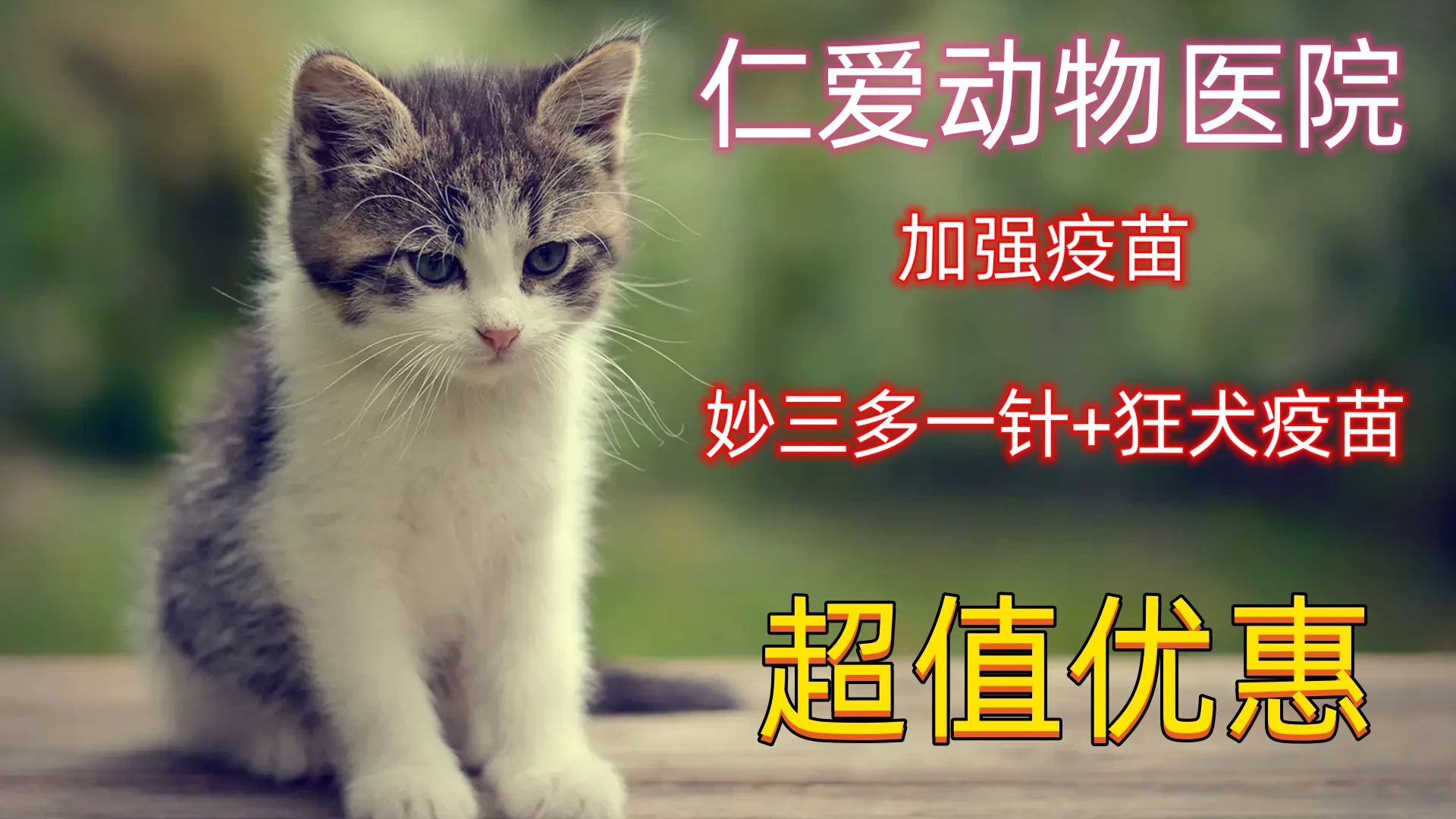 仁爱教育网官网app_仁爱教育网官网资源下载_仁爱教育网