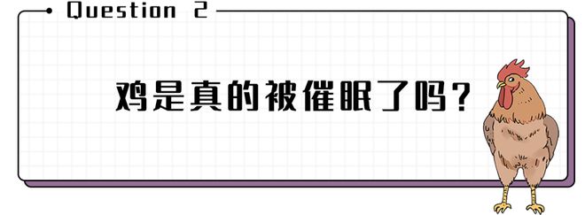 数羊数鸡数星星歌_数羊数鸡数星星是什么歌_数羊数鸡数星星什么歌曲歌词