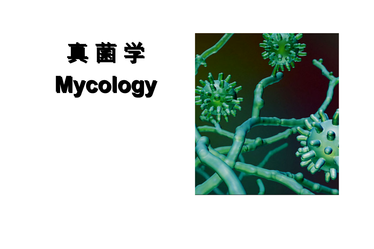 真菌世界2_真菌世界安卓_真菌世界