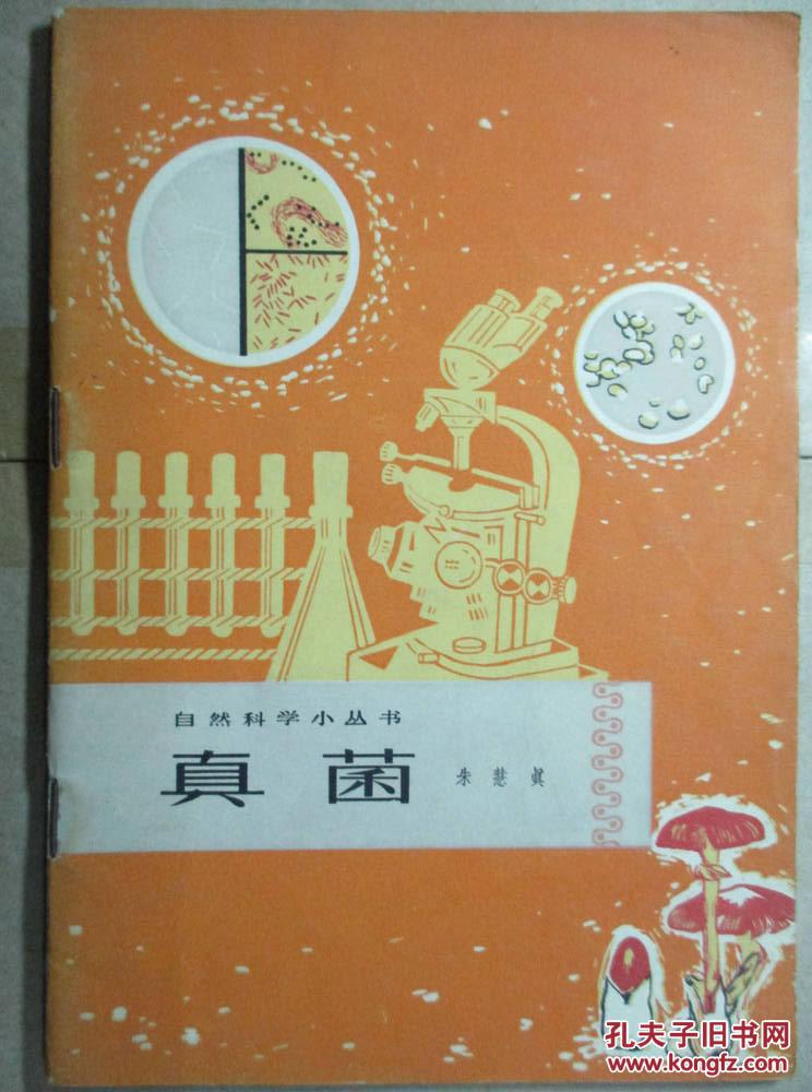 真菌世界安卓_真菌世界2_真菌世界