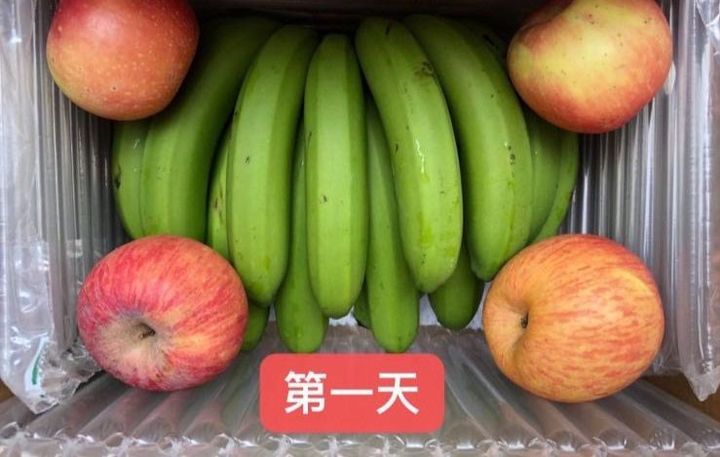 水果大战：无敌集结，害虫退散