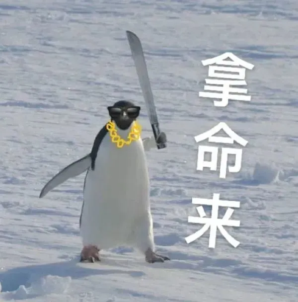 企鹅肉梗,笑翻天 企鹅肉梗,笑翻天