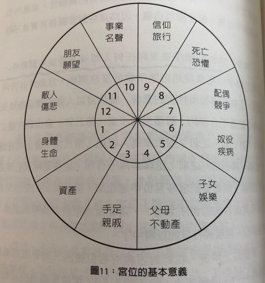占星者和奥尔多怎么选_占星奥尔多选择_占星奥尔多选错