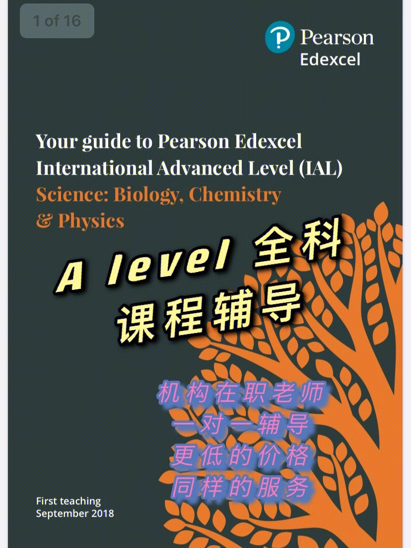 太平洋英文_太平洋英文名怎么读_飞越太平洋英文