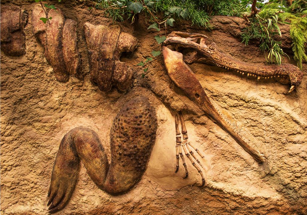 荒野大镖客2揭秘：恐龙化石藏身何处