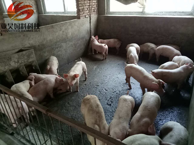 猪肉展示柜_猪肉展示柜怎么调温度_猪展肉