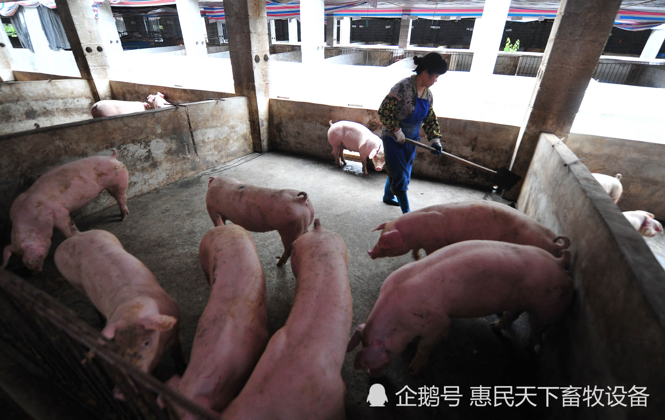 猪肉展示柜_猪肉展示柜怎么调温度_猪展肉