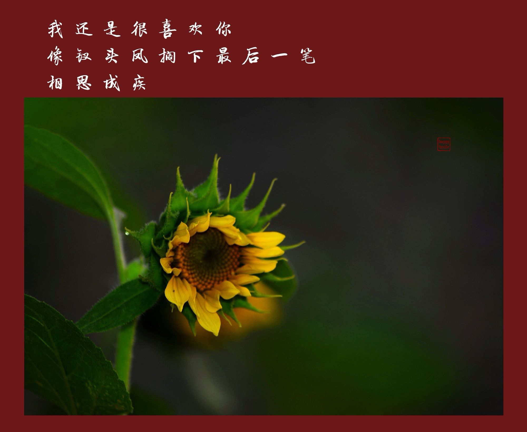 向日葵app在线下载在线观看_hr在线海航下载app_名侦探柯南业火向日葵免费观看