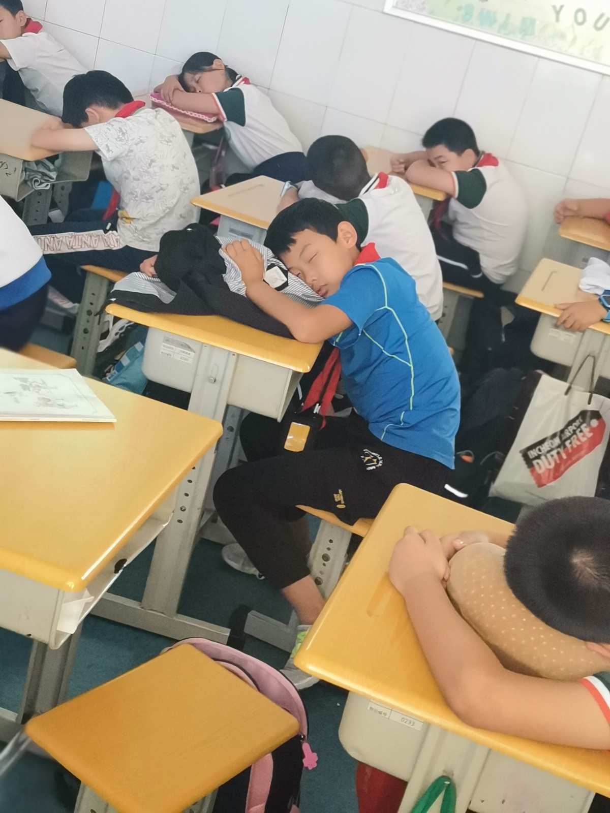 西窗烛pro_西窗烛app_西窗烛火