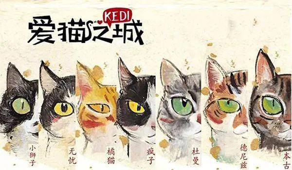 猫王国_王国猫车_王国猫咪