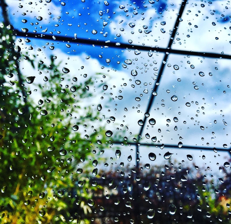 窗外雨滴的图片_窗外的雨滴_窗外的雨滴