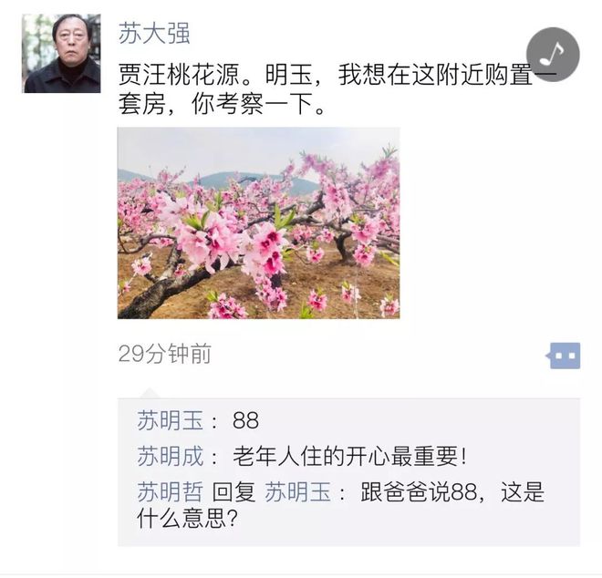 苏大强是大学老师吗_苏大强不强了_苏大强是什么梗