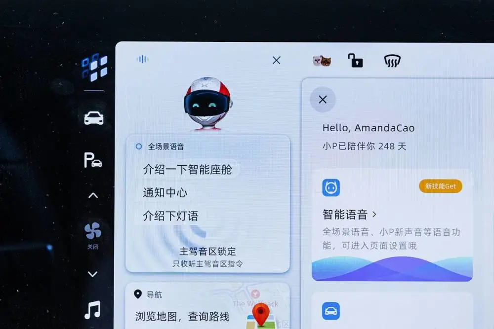 会说话的金杰猫2_猫说话是怎么回事_猫说话是真的吗