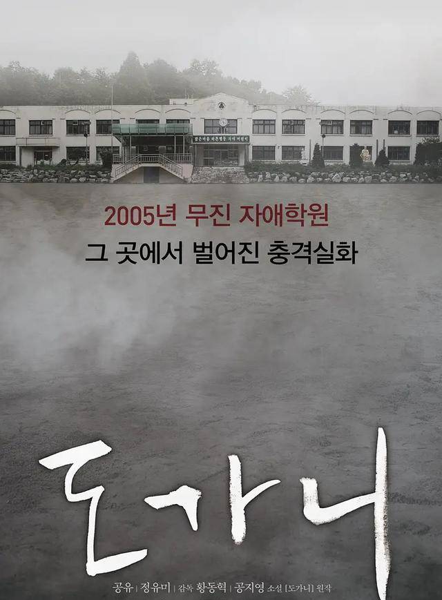 雾视视频教程_绿雾影视app_雾影图片