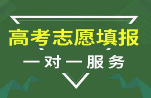 精志愿官网_精志愿官网_精志愿官网