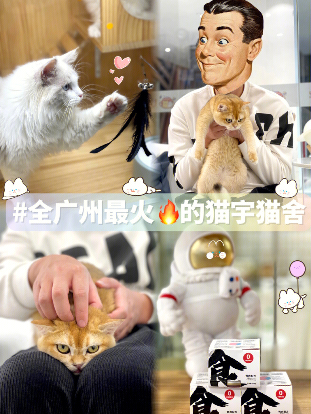 猫咪女游戏_猫女游戏手机版_猫女游戏