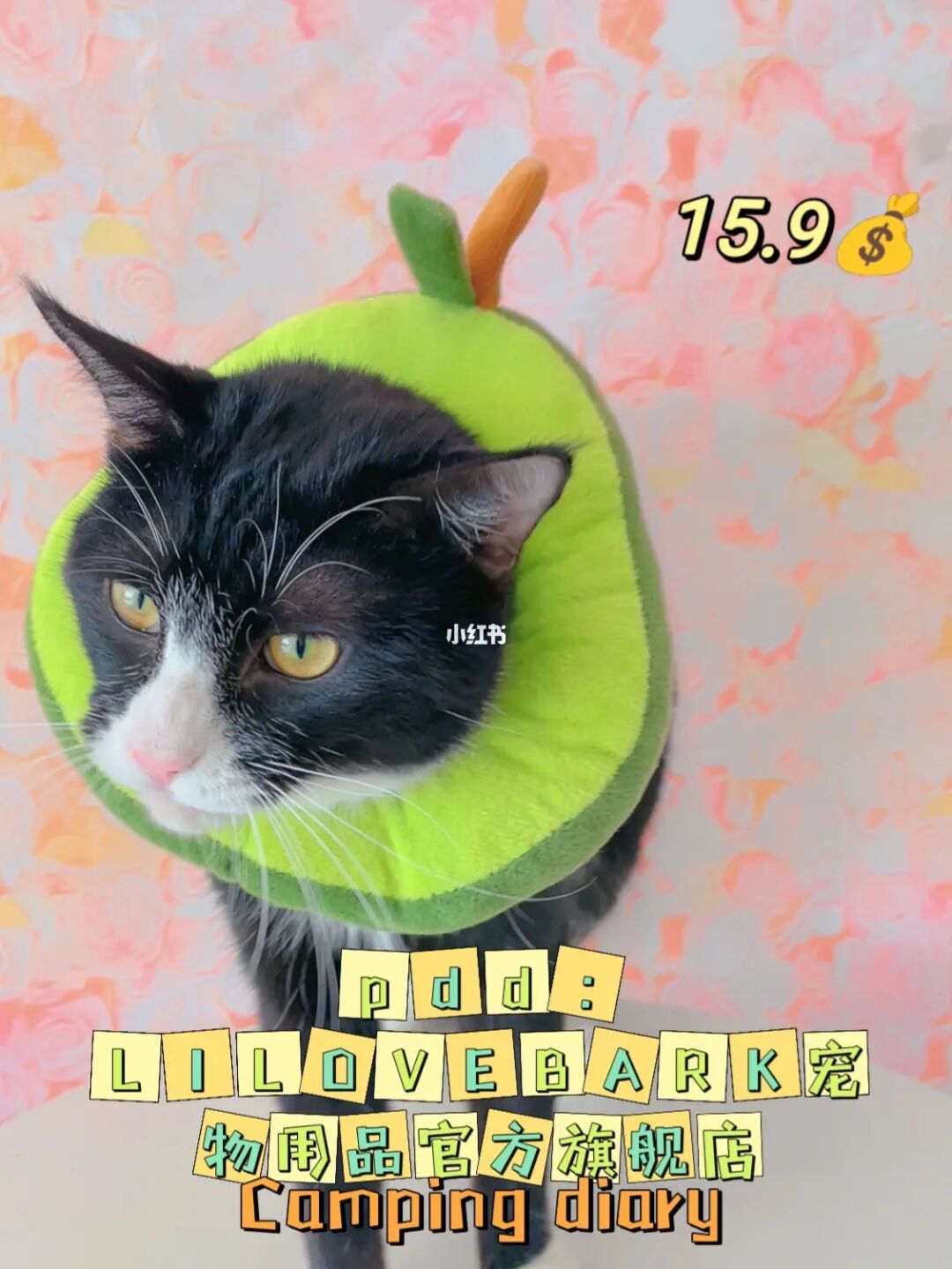 猫咪女游戏_猫女游戏_猫女游戏手机版