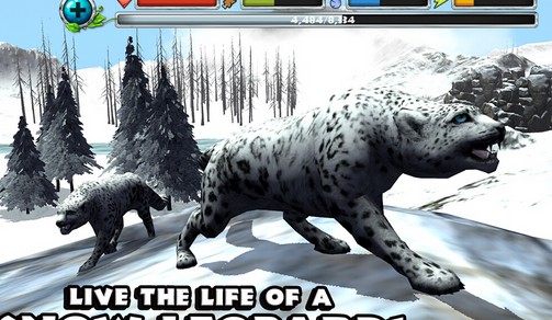 雪豹模拟器：体验雪豹生活