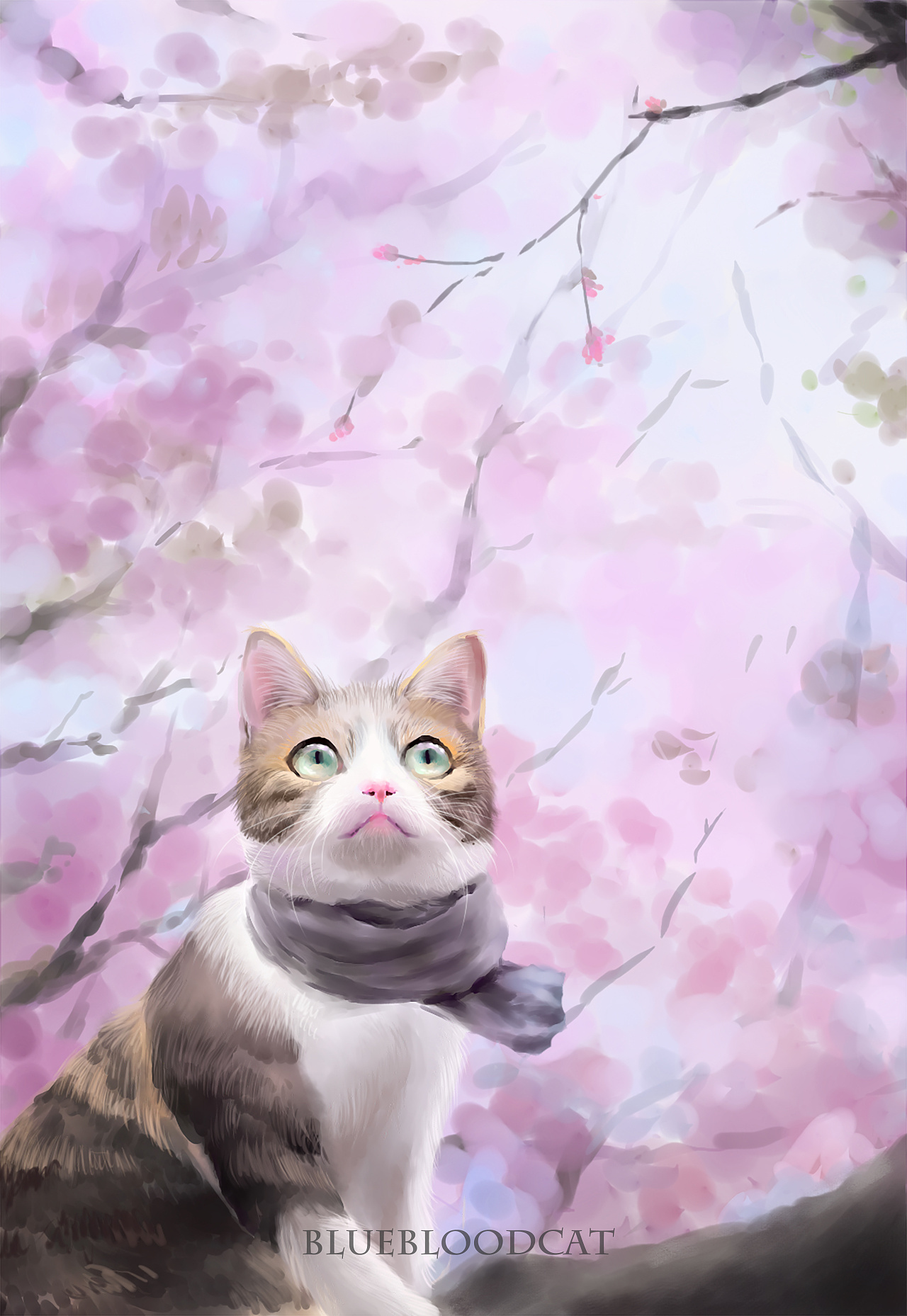 我是哑剧猫，一个喜欢原版樱花动漫的小粉丝

修改后的