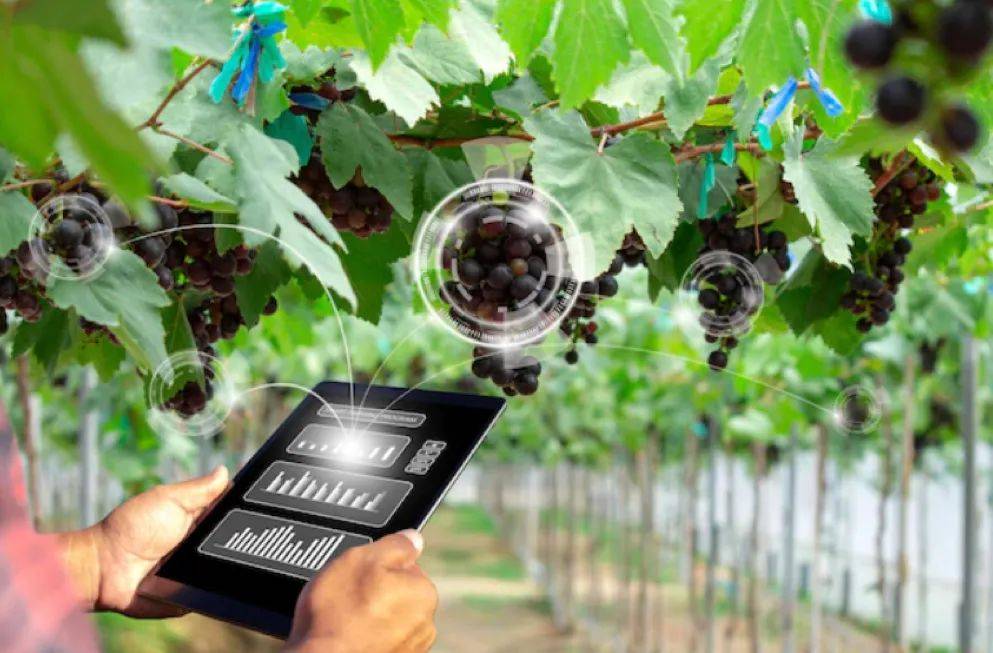 农场手机游戏没有进度_farmer农场游戏_手机游戏农场farm