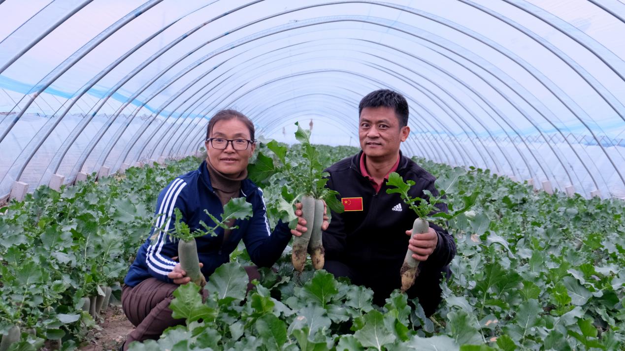farmer农场游戏_手机游戏农场farm_农场手机游戏没有进度
