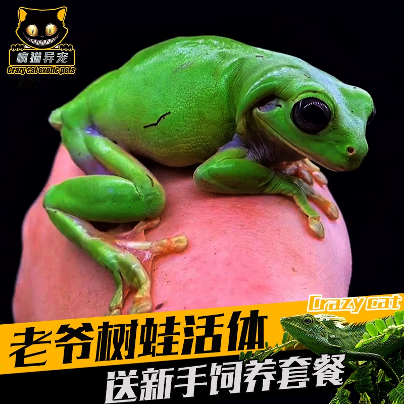 手机养青蛙游戏_手机养青蛙游戏_手机养青蛙游戏