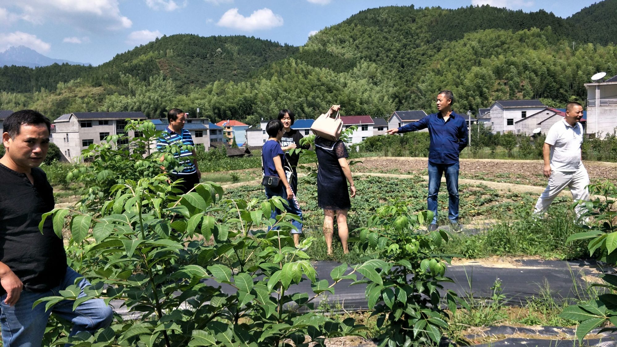 建造农场的游戏_农场建造手机游戏大全_手机农场建造游戏