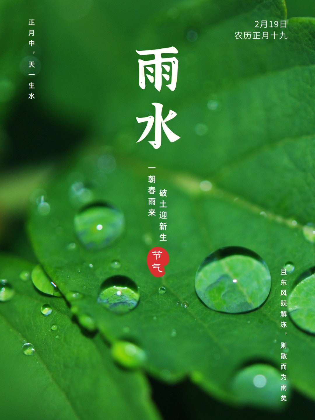 雨水是什么意思_雨水的意思是_雨水意味着