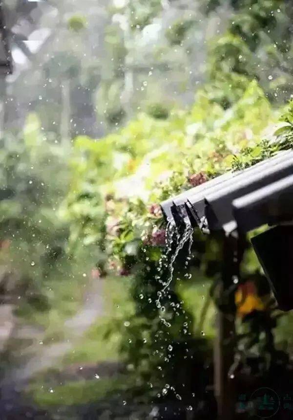 雨水是什么意思_雨水意味着_雨水的意思是