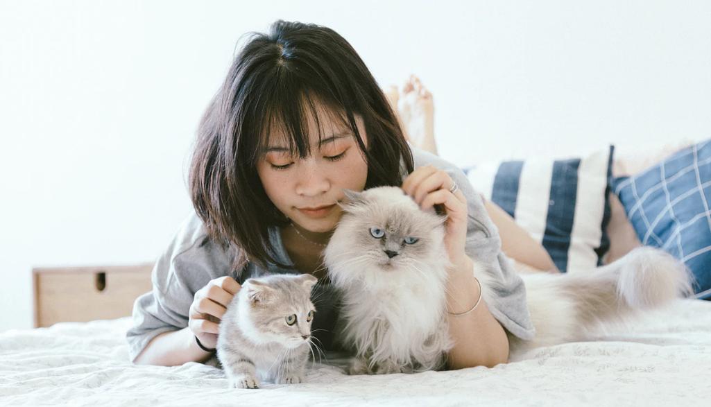 养宠物的小游戏_养宠物的手机单机游戏_手机上养小宠物的游戏