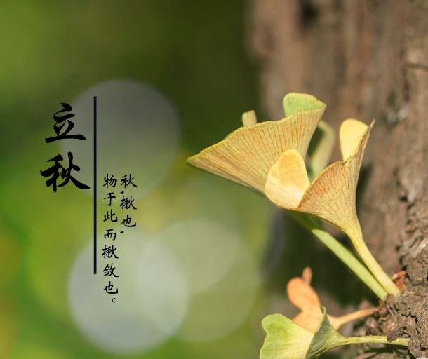 立秋三候_候立秋南阳_啥时候立秋