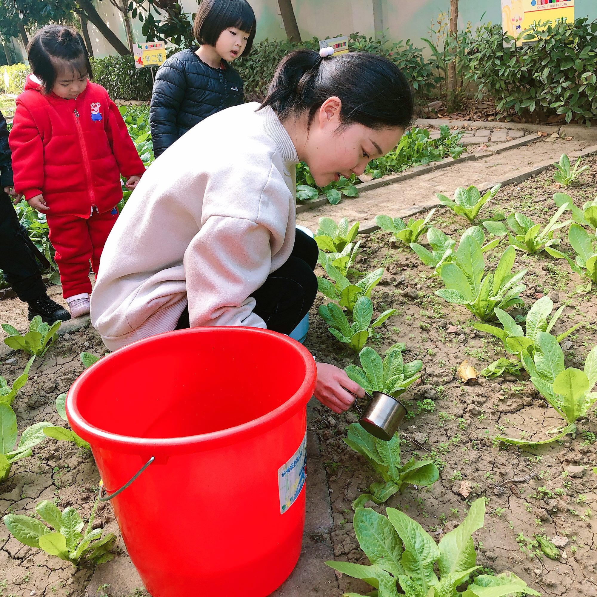 手机版种菜游戏_手机上种菜游戏_种菜手机游戏哪个好玩