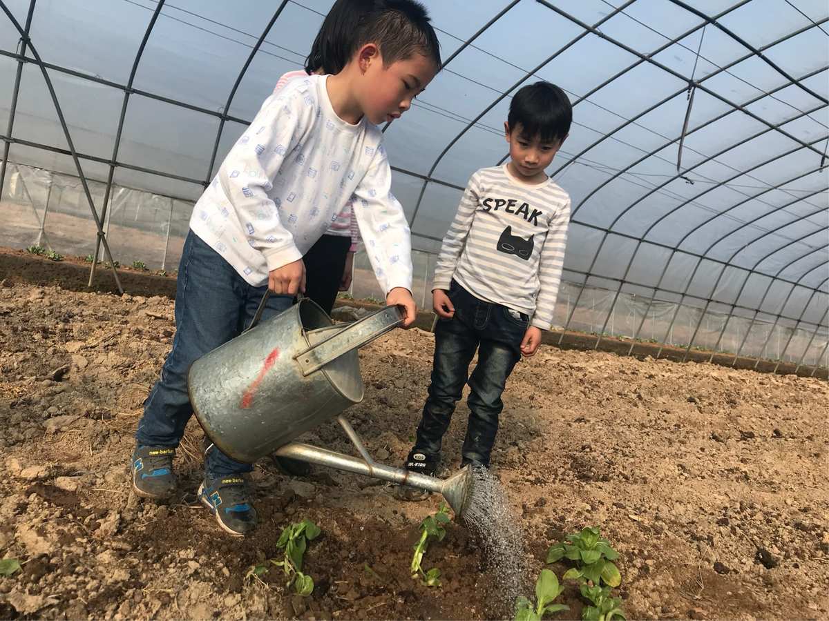 手机版种菜游戏_手机上种菜游戏_种菜手机游戏哪个好玩