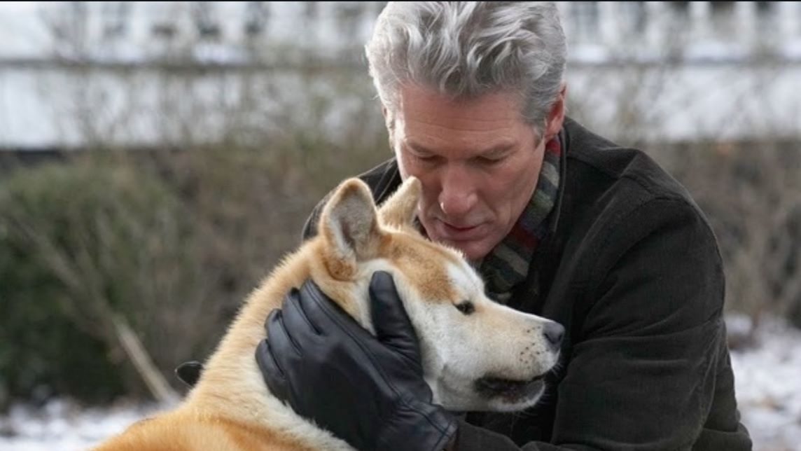 忠犬八公完整版国语版免费_忠犬八公电影在线观看_电影《忠犬八公》