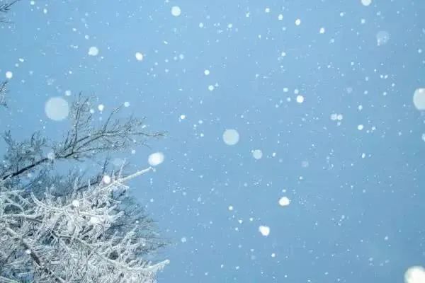 雪兔_雪兔_雪兔