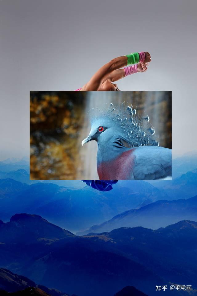 张合个人简介_把两张图片合成一张怎么弄_张合成语